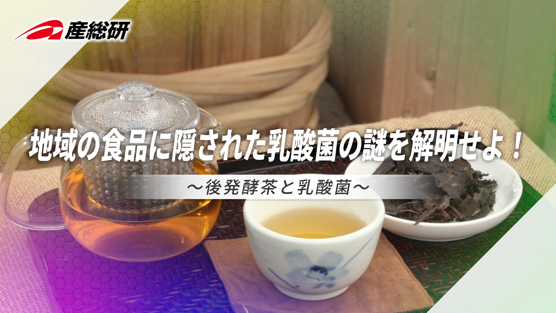 AIST_Shikoku_Lactic-acid-bacteria_Master_10010522